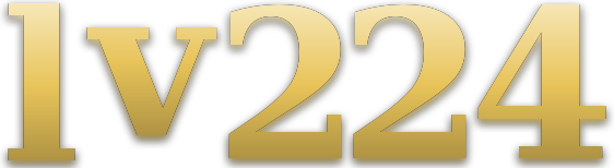 lv224 logo